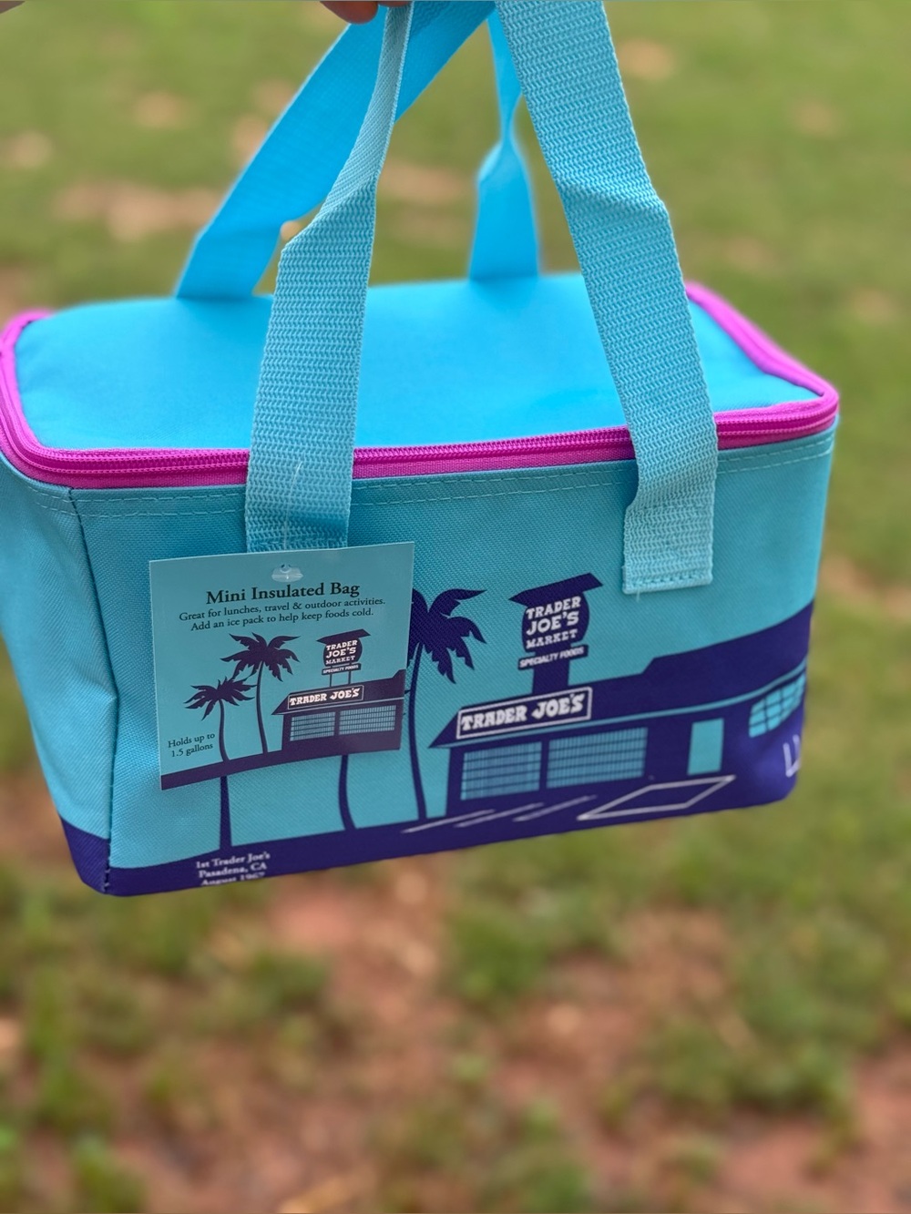 Trader Joe's Blue & Pink Insulated Lunch Bag
